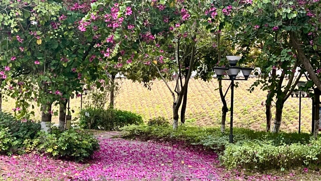 跟人工智能聊天，哪些问题能聊？哪些问题绝对不能聊？为什么？