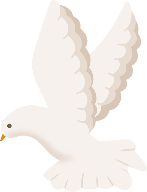 3 分钟搞定 VR 全景视频，多学科教学实用指南（附提示词）