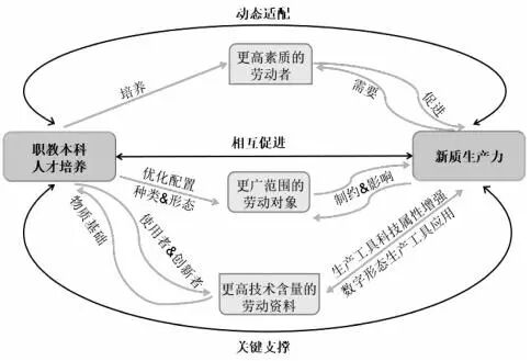 面向新质生产力的职教本科人才培养：适配逻辑、现实困境与实践策略