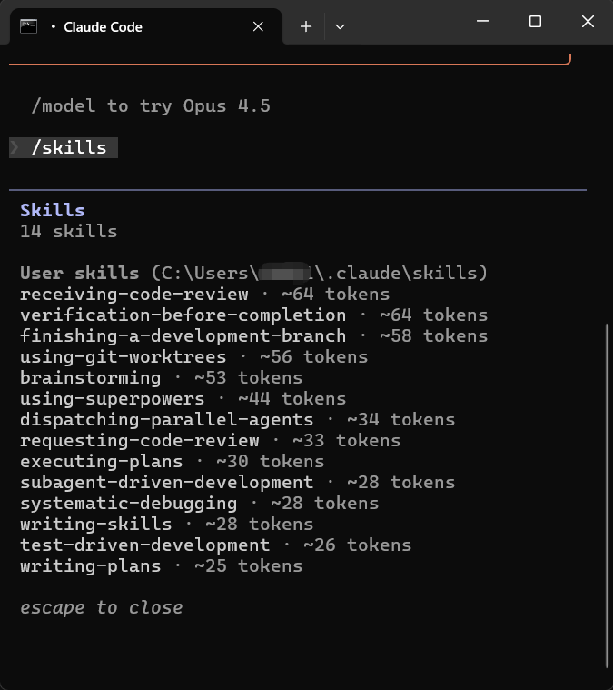 Agent Skills:给智能体赋予技能——与其“喂”数据，不如教它“查字典”
