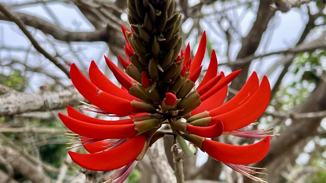 4天400页博士学位论文，人工智能加速学术写作过程的案例