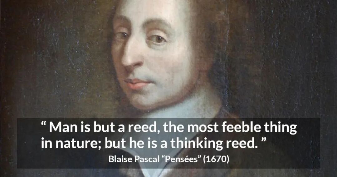 人工智能时代，教学生做一根会思考的芦苇