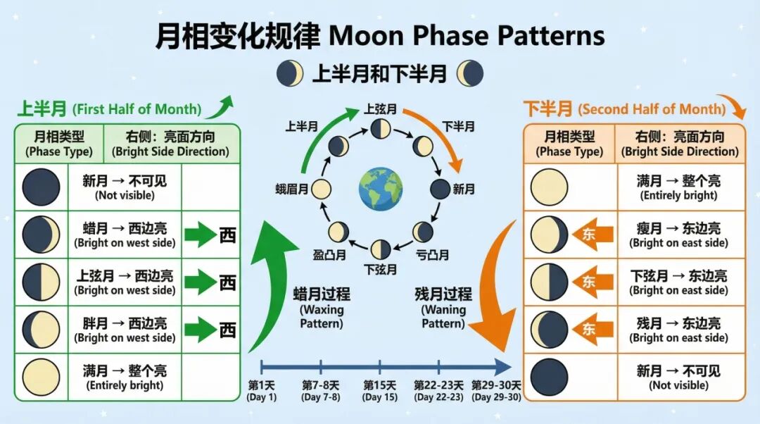惊！AI 绘图3.0，没想到已经可以绘制全学科科研用图/教学用图（附用法）
