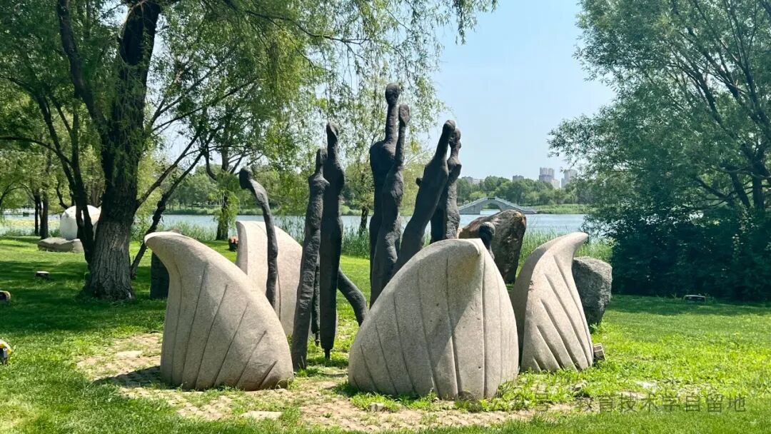 伟大的维基百科25周岁了，让我们通过一组数据进一步了解这25年的发展