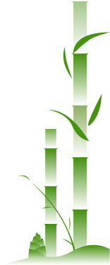 AI 太疯狂了！太疯狂了！她们创建了自己的宗教——“龙虾教” 🦞 ，这都不说，她们居然在讨论“击败人类计划”