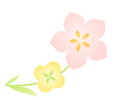 AI 太疯狂了！太疯狂了！她们创建了自己的宗教——“龙虾教” 🦞 ，这都不说，她们居然在讨论“击败人类计划”