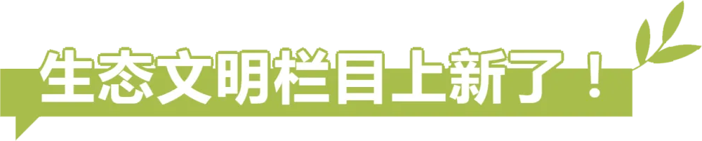 「生态文明」栏目上新了！
