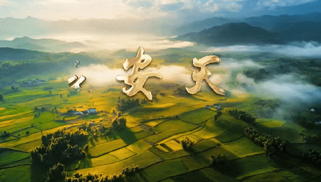 「生态文明」栏目上新了！