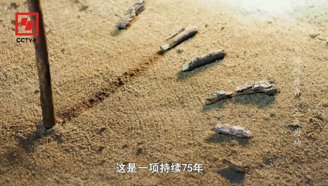 「生态文明」栏目上新了！