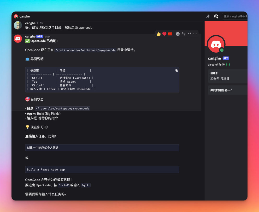 Openclaw + OpenCode 才是 vibe coding 的最棒组合！