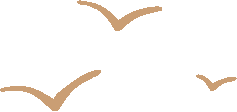 Seedance 2.0 大火，8大教学用法（附详细指令）