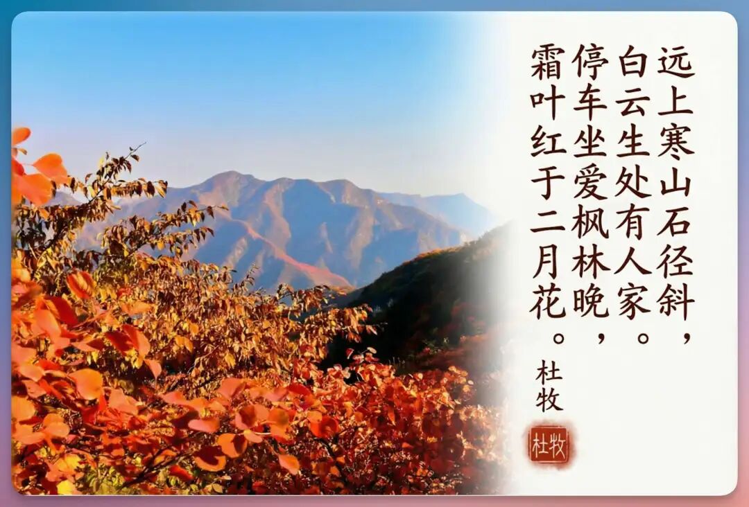 阿里 Qwen-Image-2.0 来了，首测 14 大落地场景，国产 AI 终于搞定了中文渲染痛点？