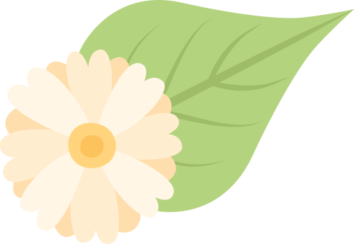 AI 大模型 | 飞象老师：更适合中国教师的AI助手