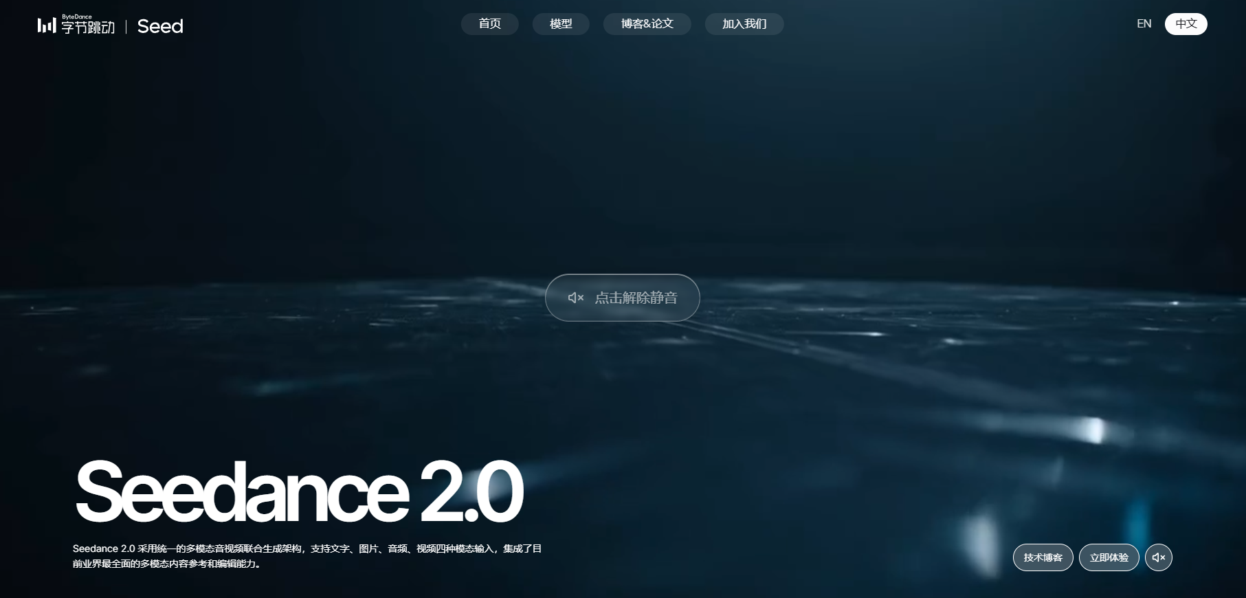 字节跳动Seedance2.0