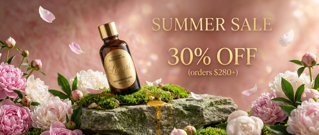 Lovart 接入谷歌生图新王 Nano Banana 2 ，更快更省，一手实测来了！