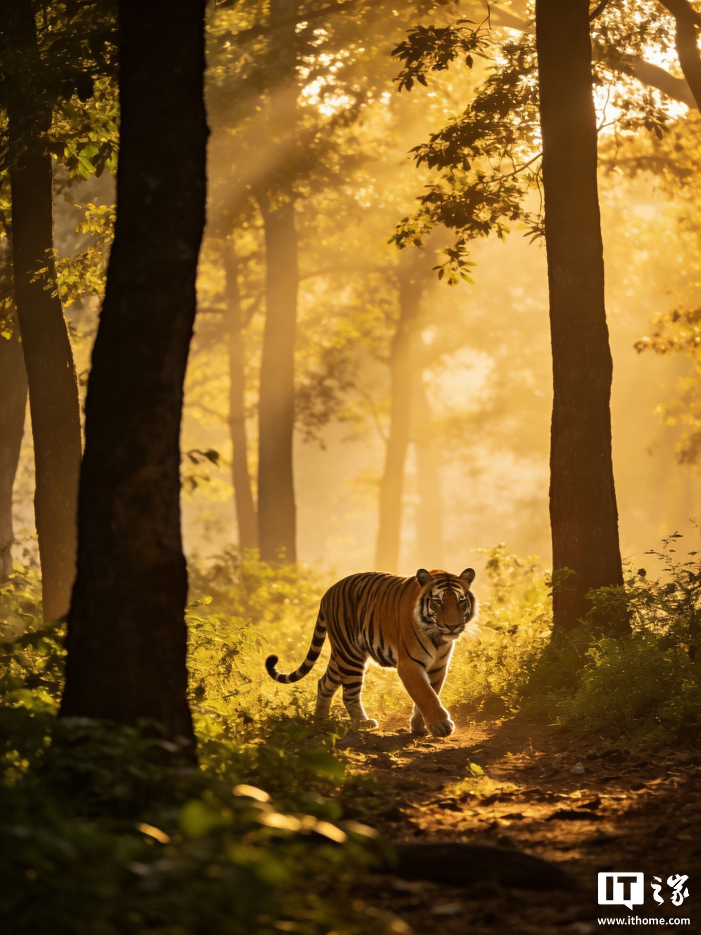 换场景就不准，研究指出 AI 识别野生动物暴露出“迁移性危机”