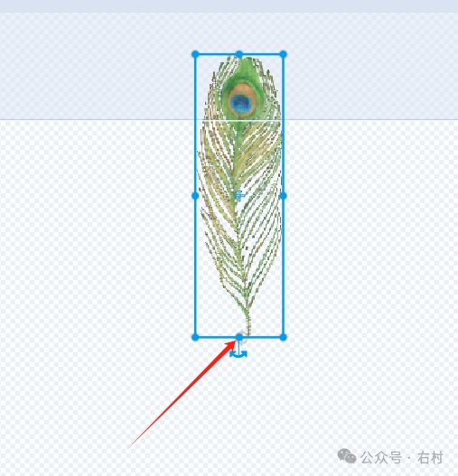 Scratch-孔雀开屏