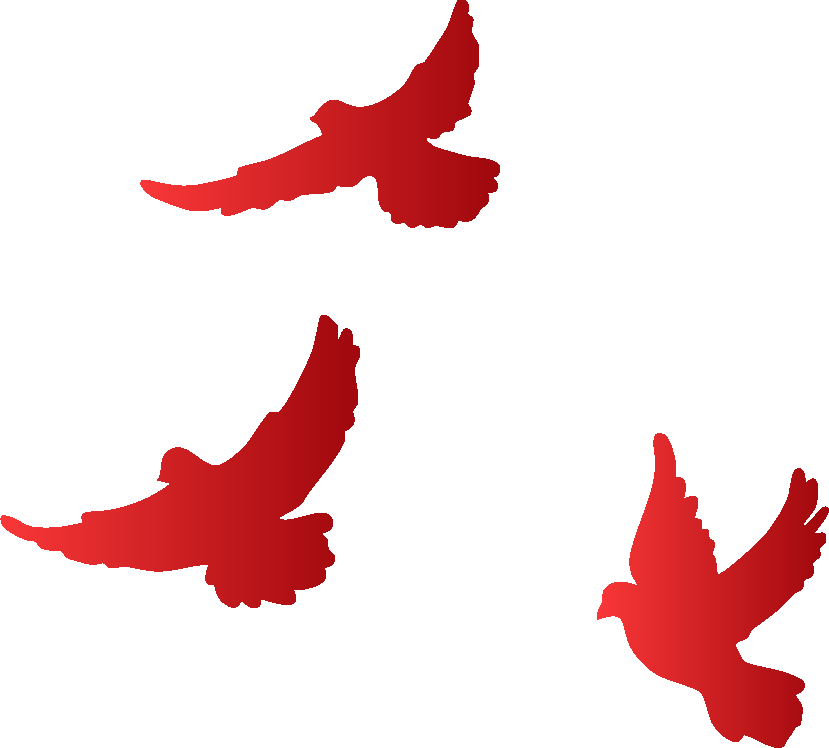 重磅！2026《 教师法》将修改！职称、待遇、惩戒权全升级。