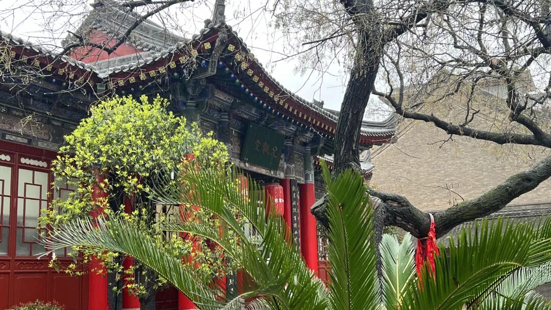 焦建利：人工智能时代的人性追问，郑重推荐哈佛教授，图灵奖得主瓦利安特的《可教育性》