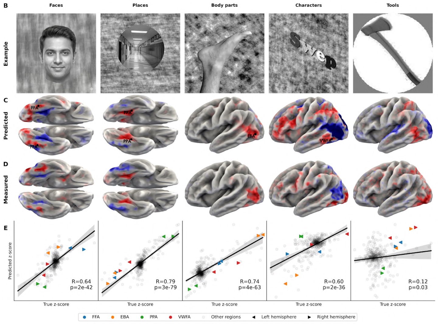 Meta 开源全新 AI 模型 TRIBE v2，精准预测人类大脑多模态反应