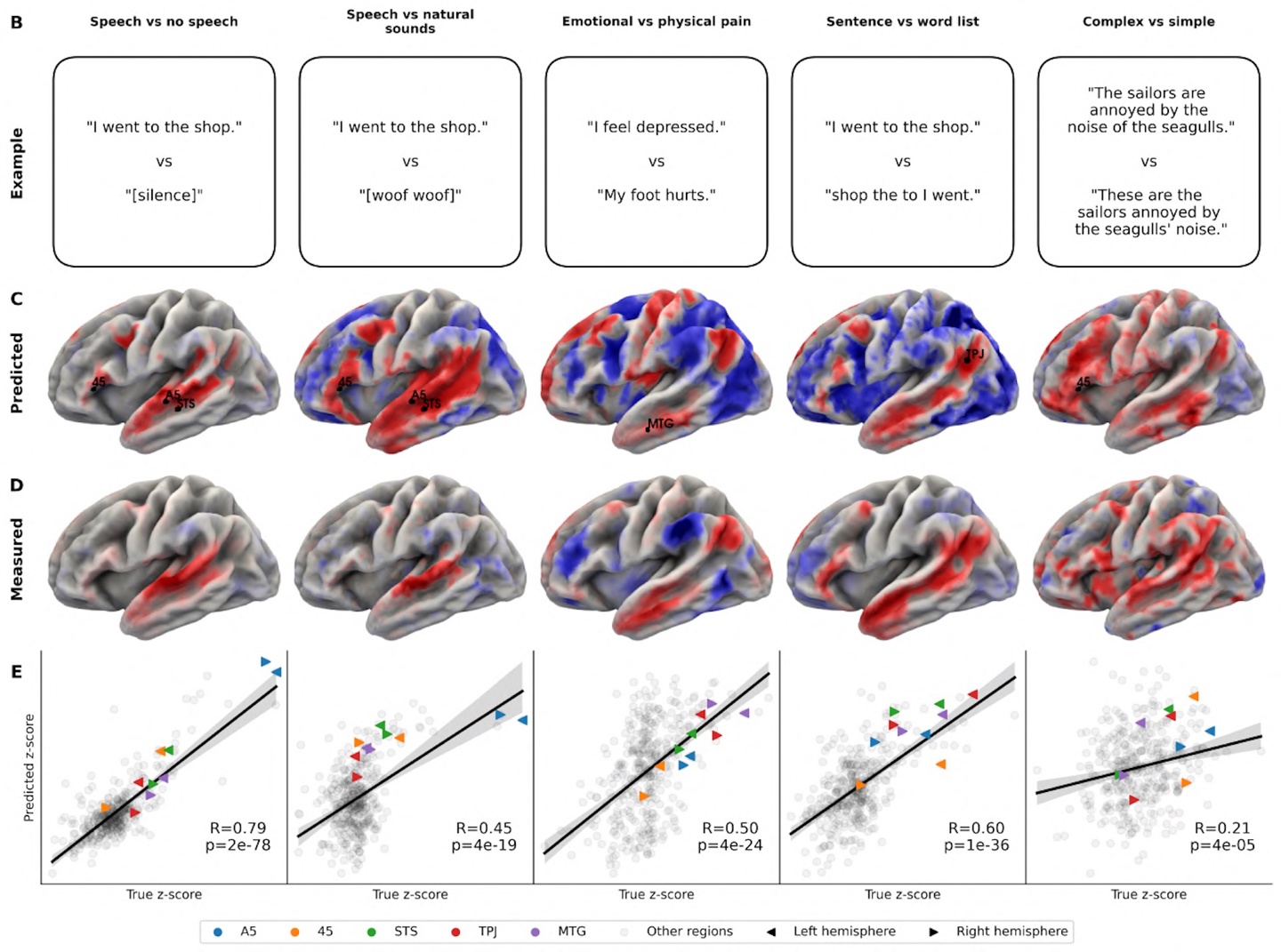 Meta 开源全新 AI 模型 TRIBE v2，精准预测人类大脑多模态反应