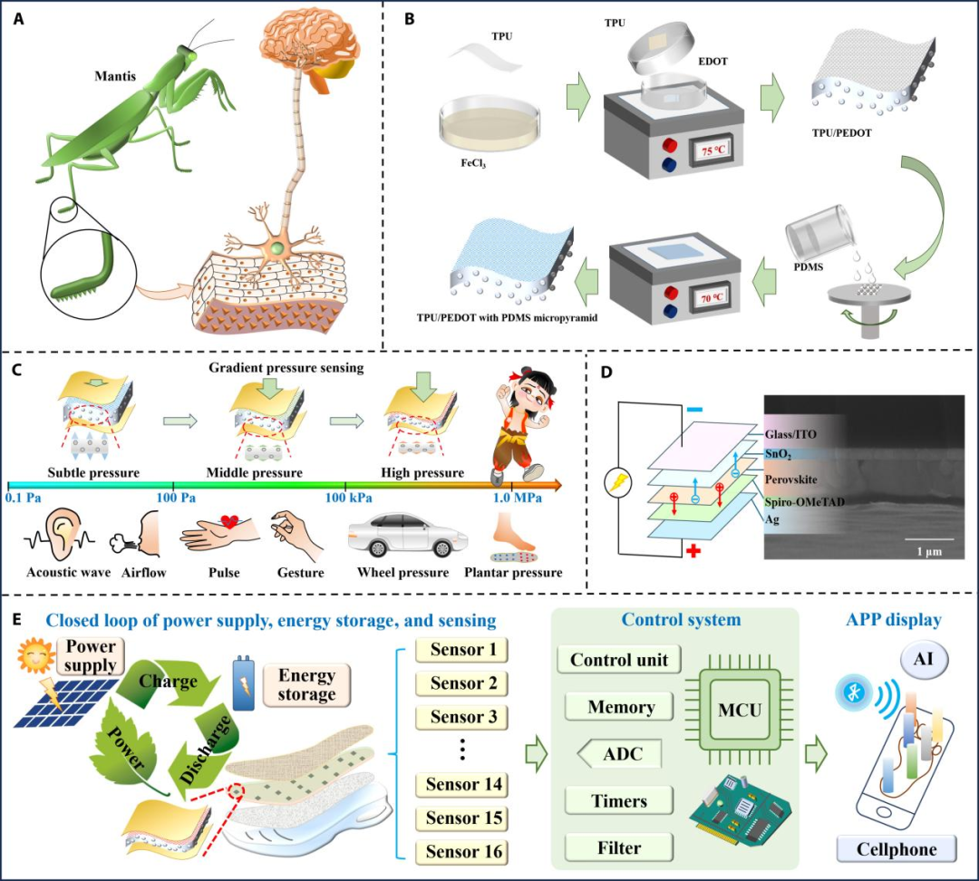 没病走两步，西电团队开发出能监测身体状况的柔性传感鞋垫