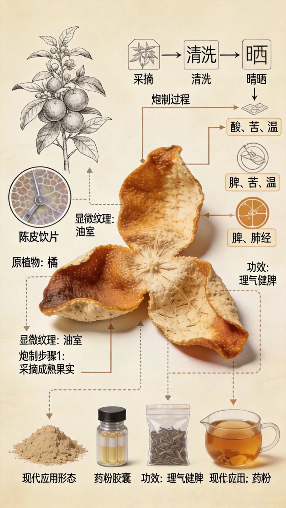 用AI把知识“翻译”成更容易接受的样子：5个立刻能用的方法