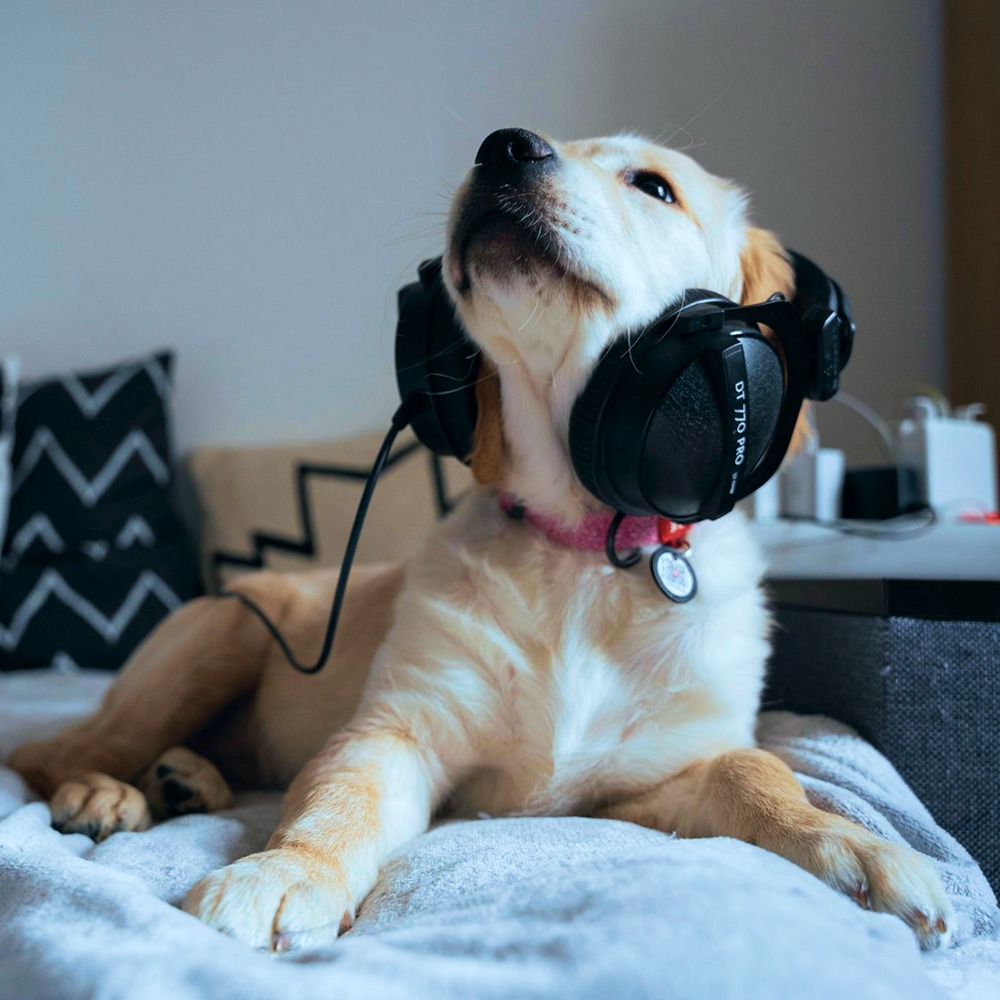 关于人工智能时代音乐创作与音乐教育的这10个问题发人深思，因为AI 从根本上改变了音乐的生产方式、流通逻辑和价值基础