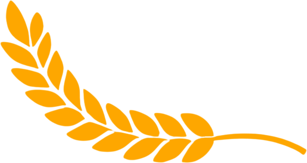 就亚利桑那州立大学教授提出来的人工智能与高等教育的十个问题，我采访了千问、KIMI、和Deepseek，看看他们怎么说？