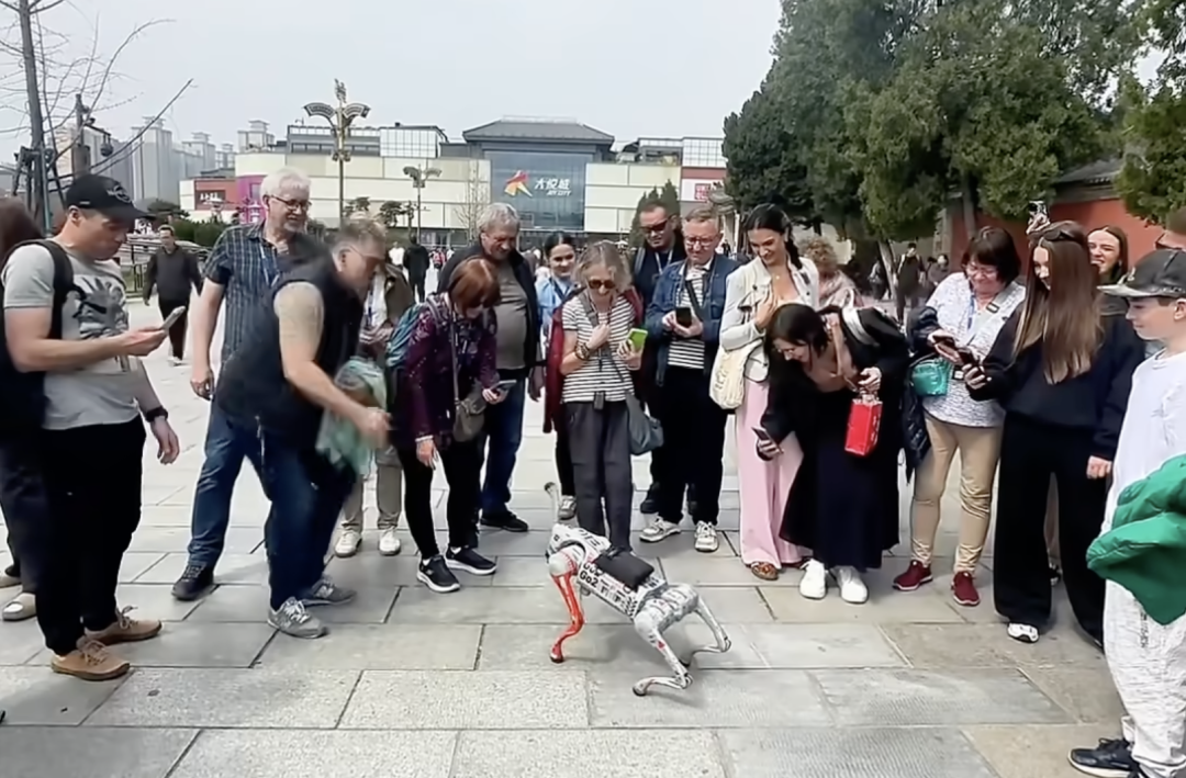 西安大唐不夜城的机器狗魔仔，似乎是当前最高情商的机器狗，也是全球最红的网红狗