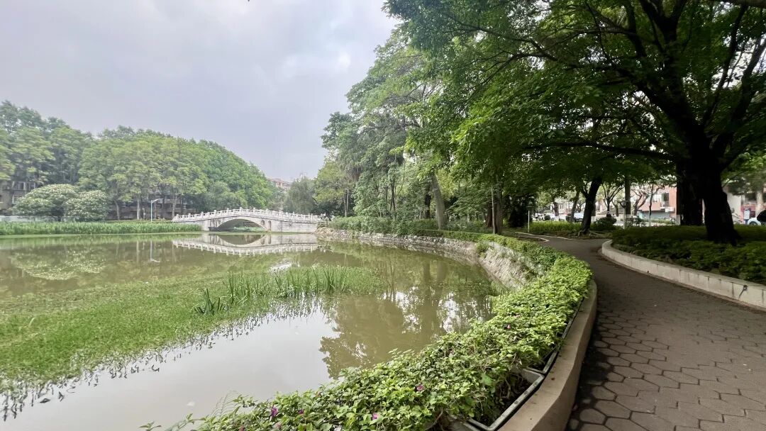 2026世界数字教育大会昨在杭州开幕，除了全体大会，还有8场平行会议，内容精彩纷呈