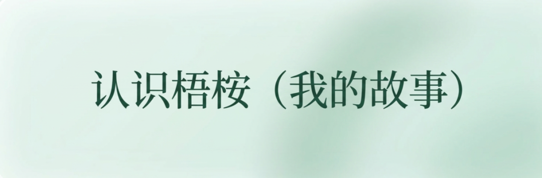 1条获赞12万！育儿赛道吉卜力风，豆包一键出（附提示词）