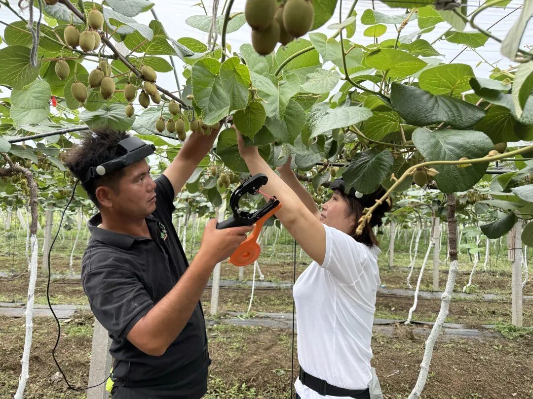 家务变身机器人训练数据，京东打造全国首个具身智能数据采集社区