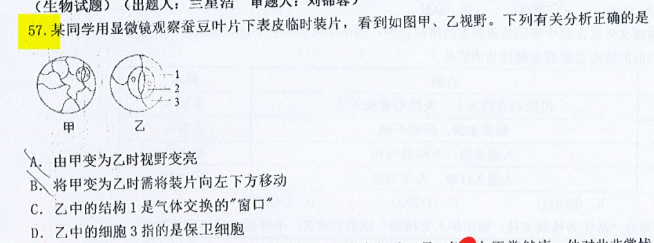 AI定制化学习设计，已经到了什么程度？