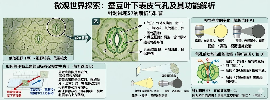 AI定制化学习设计，已经到了什么程度？