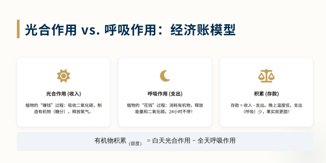 AI定制化学习设计，已经到了什么程度？