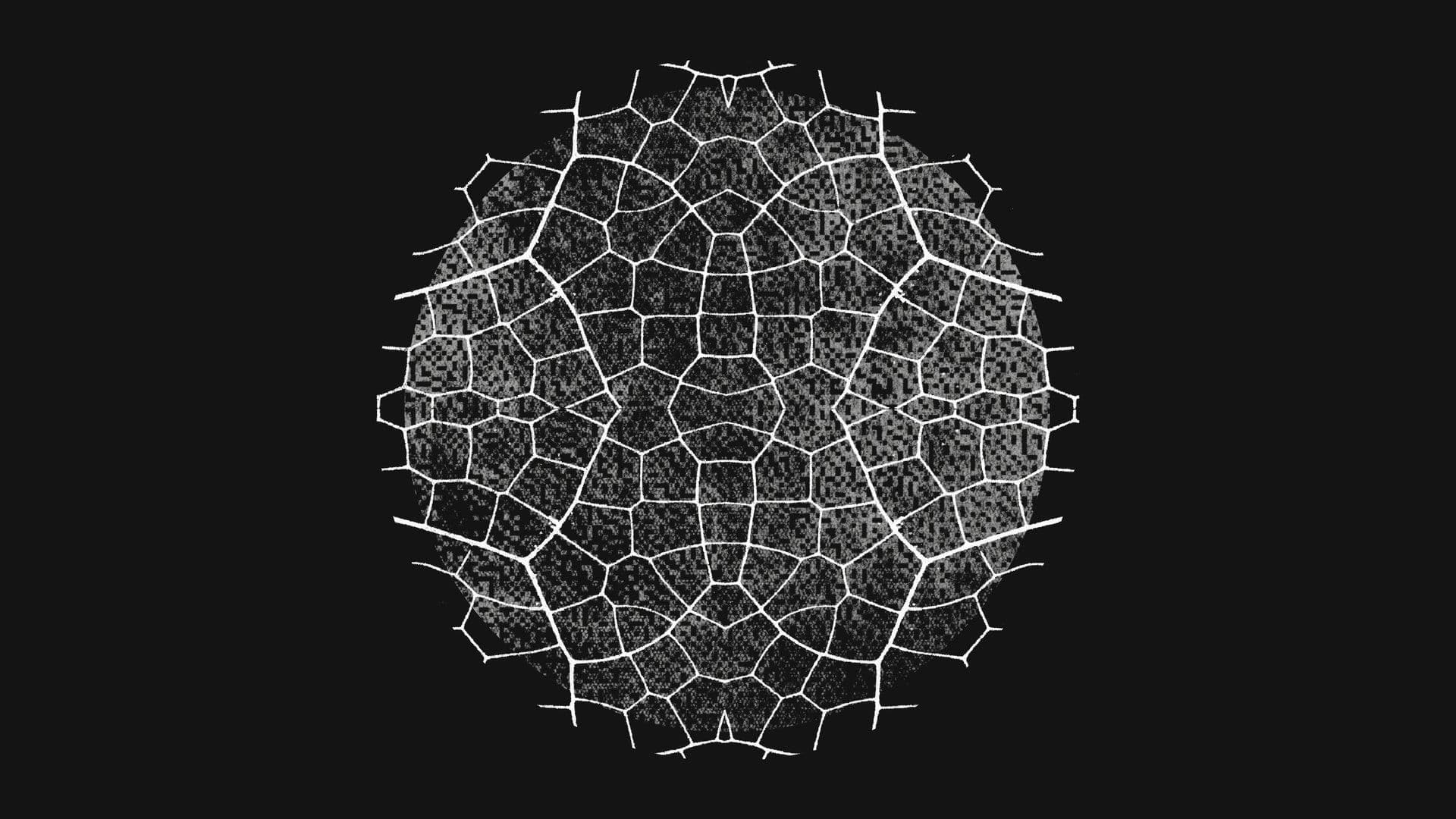 修不过来：Anthropic 披露 AI 抓虫首月战报，揪出超 1 万个高危漏洞
