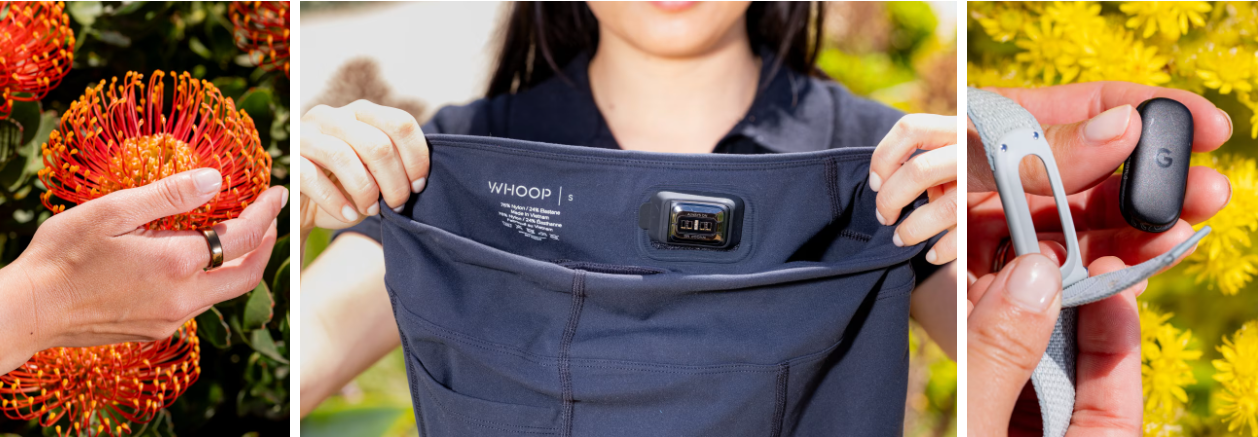 《华尔街日报》测评四款智能穿戴设备：苹果 Apple Watch Series 11 表现亮眼