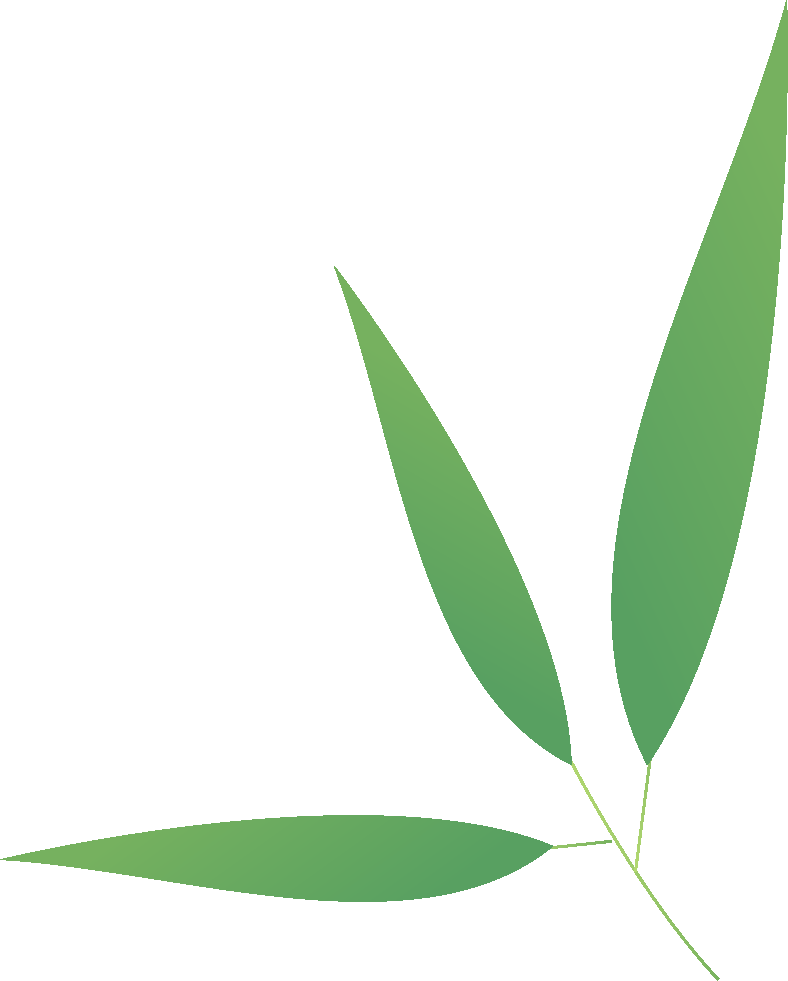 希沃AI｜懂教师的三大功能终于上线（附实操）