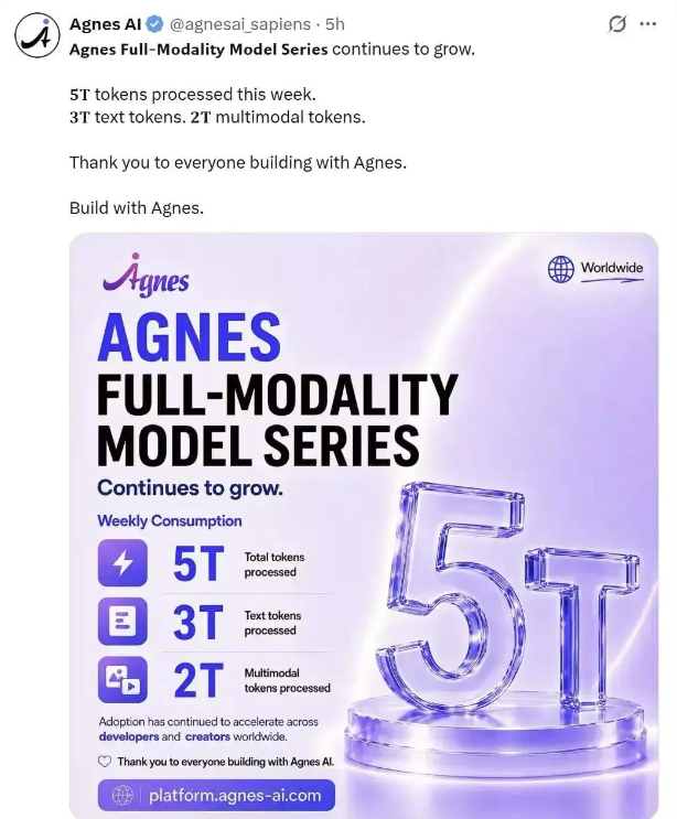 Agnes | 无限期免费API——Agnes AI 让开发者疯狂!! 全模态API 太顶了
