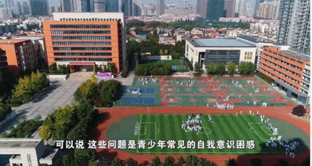 暑期资源推荐①｜健康生活篇：陪孩子过一个充实又安心的暑假
