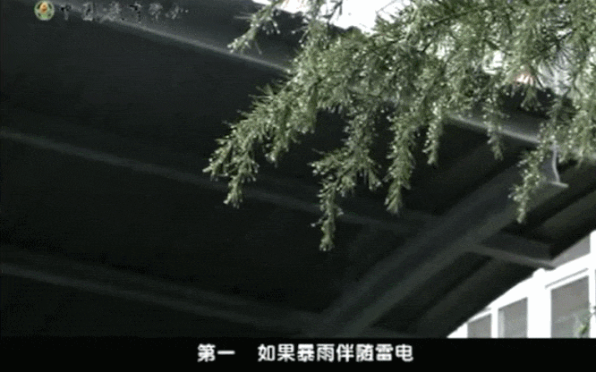 暑期资源推荐①｜健康生活篇：陪孩子过一个充实又安心的暑假